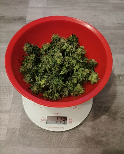 Screenshot_20201210_174759