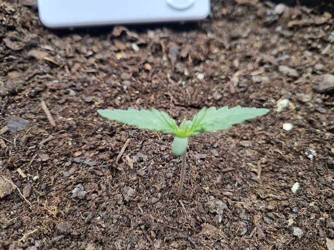 Growreport Bild 19