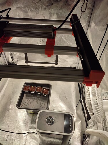 Growreport Bild 10