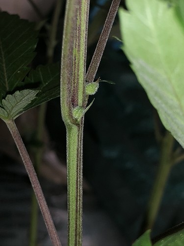 Growreport Bild 10