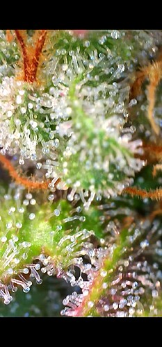 Growreport Bild 16