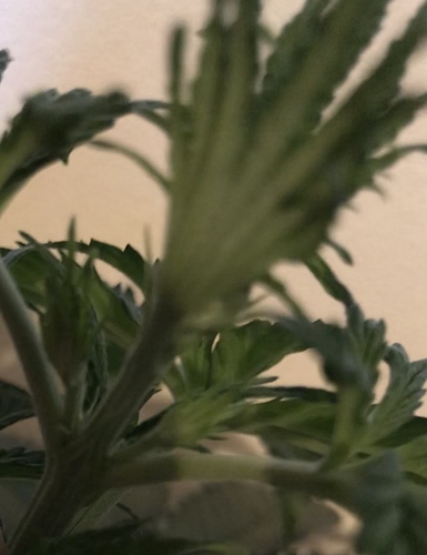 Growreport Bild 13