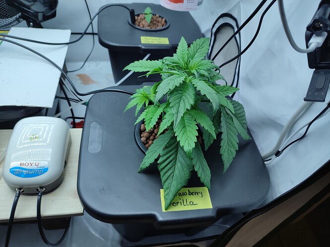 Growreport Bild 10