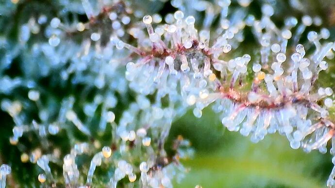 Growreport Bild 18