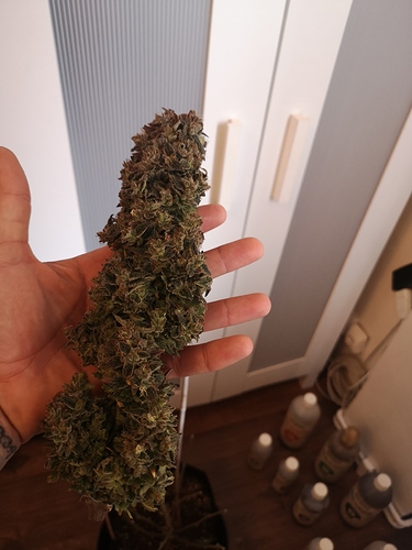 Growreport Bild 8