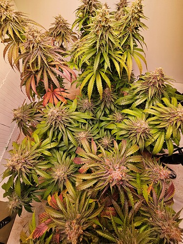 Growreport Bild 22