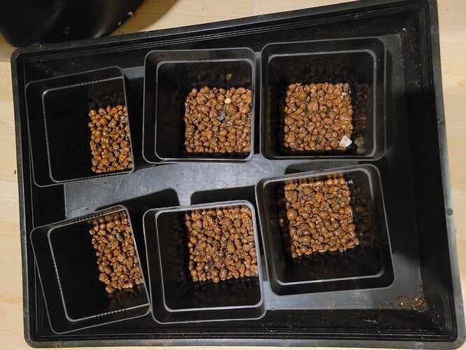 Growreport Bild 5