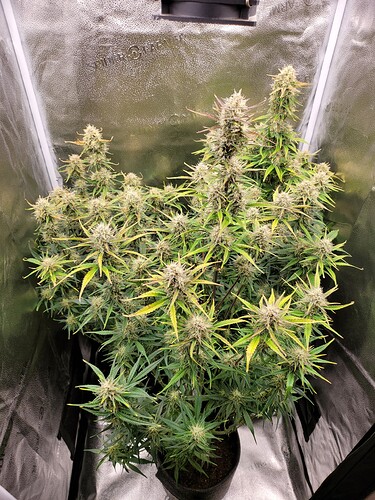 Growreport Bild 2