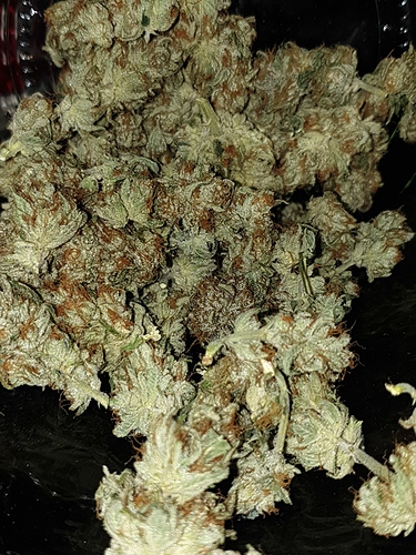 Growreport Bild 15