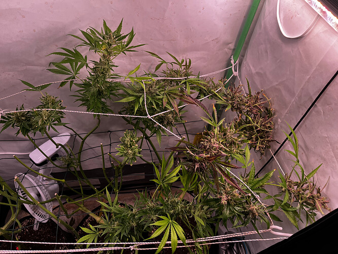 Growreport Bild 8