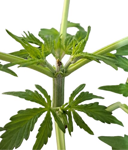 Screenshot_20231220_105143_PhotoRoom