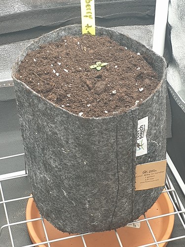 Growreport Bild 5