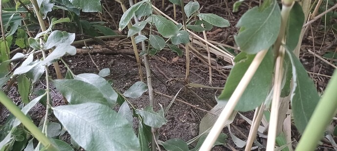 Growreport Bild 14