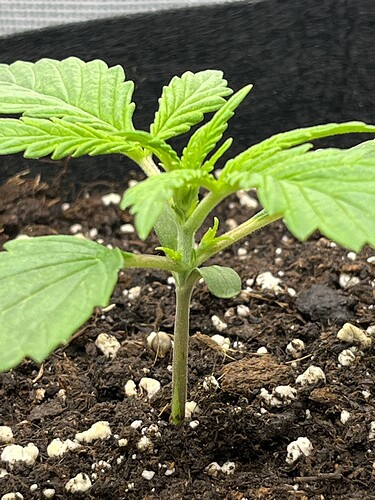 Growreport Bild 26