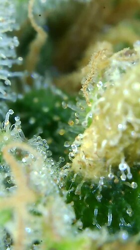 Growreport Bild 24