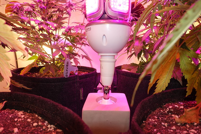 Growreport Bild 13