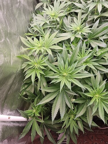 Growreport Bild 11