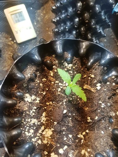 Growreport Bild 14