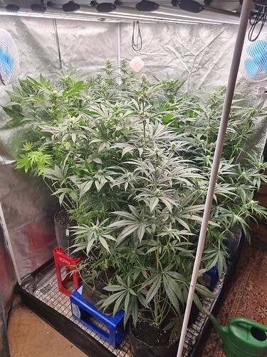 Growreport Bild 22