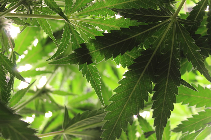 Growreport Bild 10