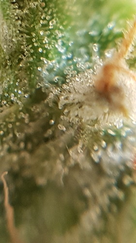 20210214_184049