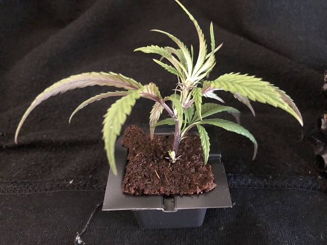 Growreport Bild 11