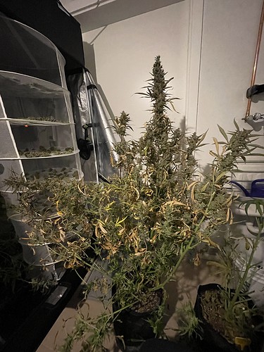 Growreport Bild 11