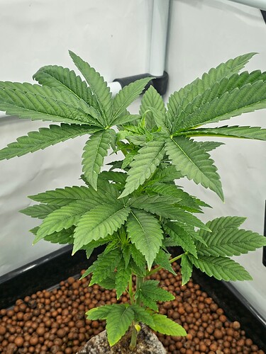 Growreport Bild 8