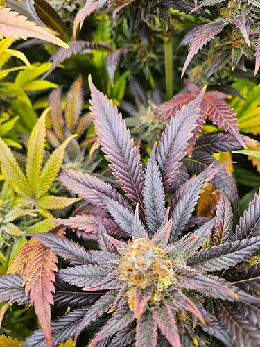Growreport Bild 14