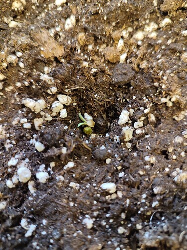 Growreport Bild 14
