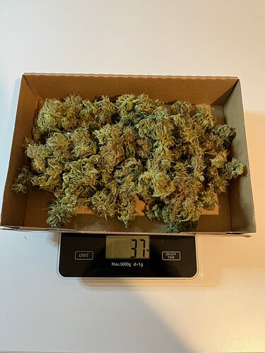 Growreport Bild 61