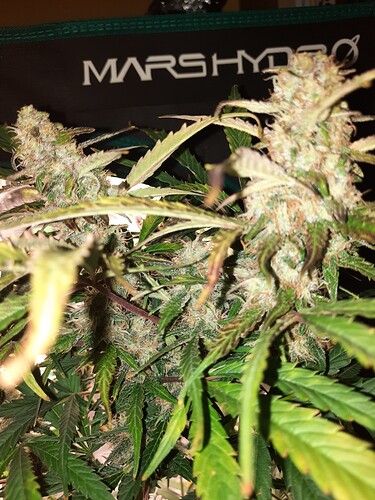 Growreport Bild 17