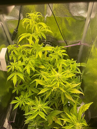 Growreport Bild 26