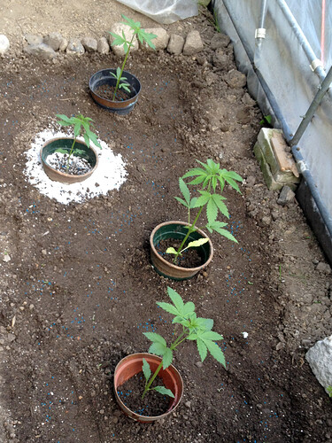Growreport Bild 30