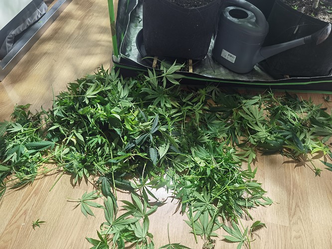 Growreport Bild 1