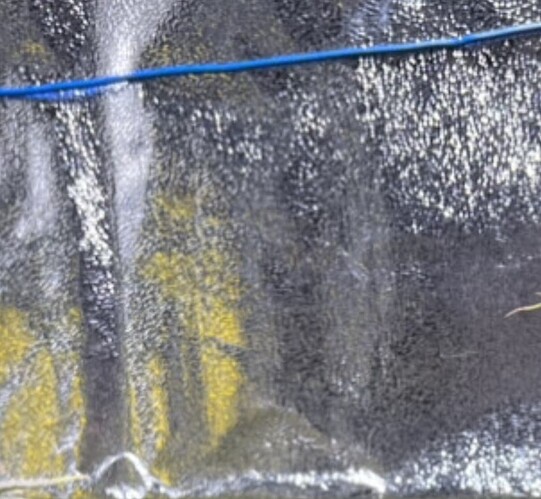 Screenshot_20231010-043715