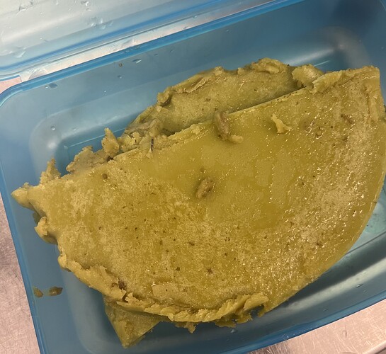 Growreport Bild 2