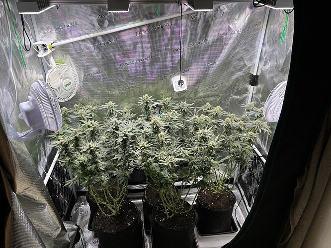 Growreport Bild 17