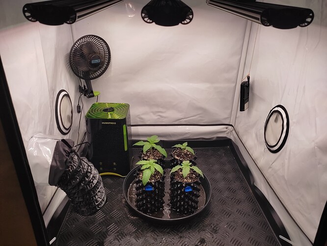 Growreport Bild 12