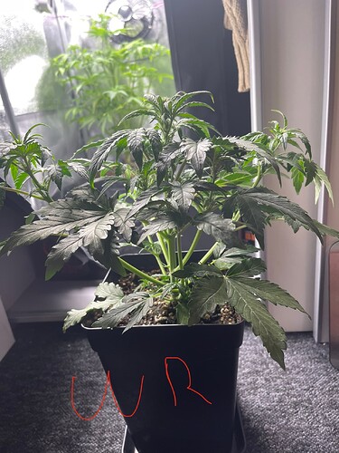 Growreport Bild 26