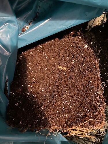 Growreport Bild 8