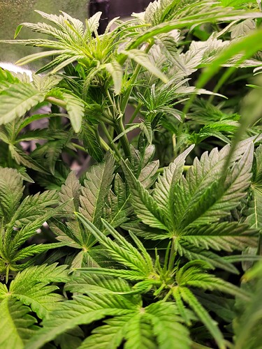 Growreport Bild 11