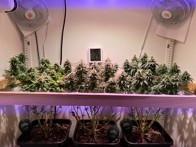 Growreport Bild 3