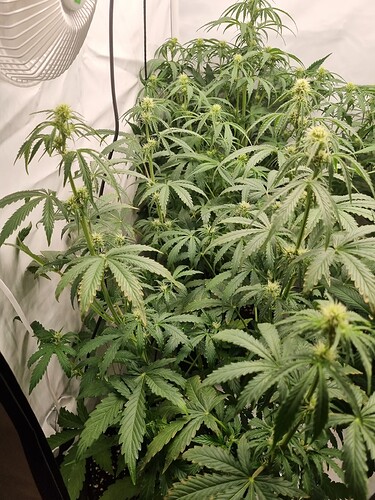 Growreport Bild 24