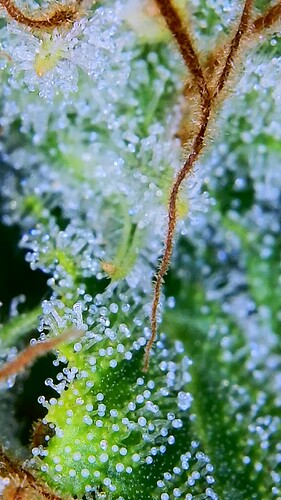 2023_01_13_11_58_12_370