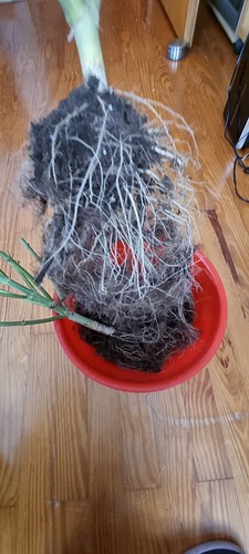 Growreport Bild 12