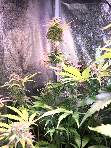 Growreport Bild 13