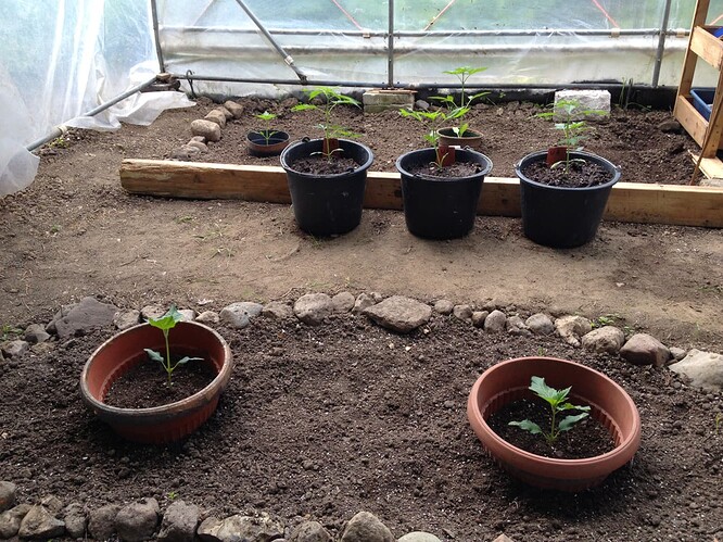 Growreport Bild 5