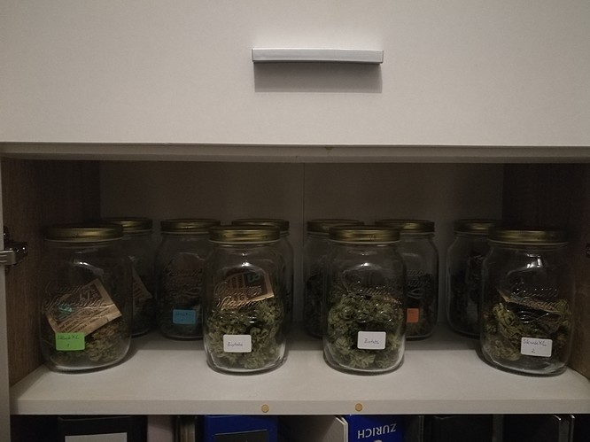 Growreport Bild 1