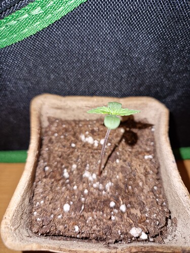 Growreport Bild 9